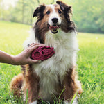 KONG ZoomGroom for Dogs