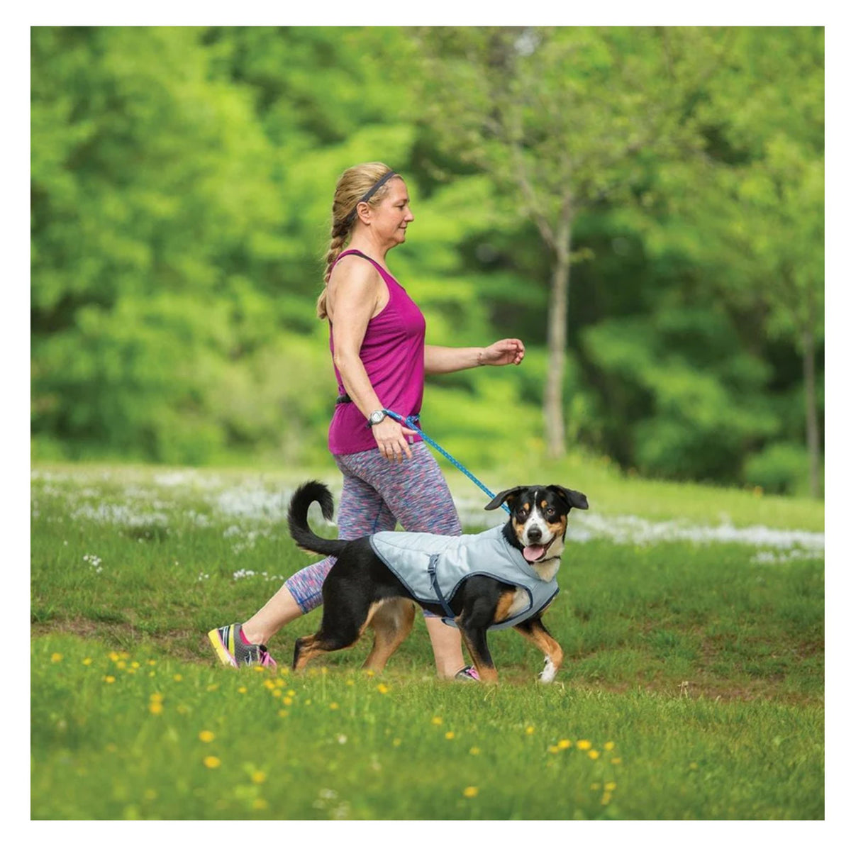 Kurgo Core Cooling Vest for Dogs