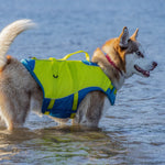 Kurgo Surf n' Turf Dog Life Jacket - Yellow/Blue