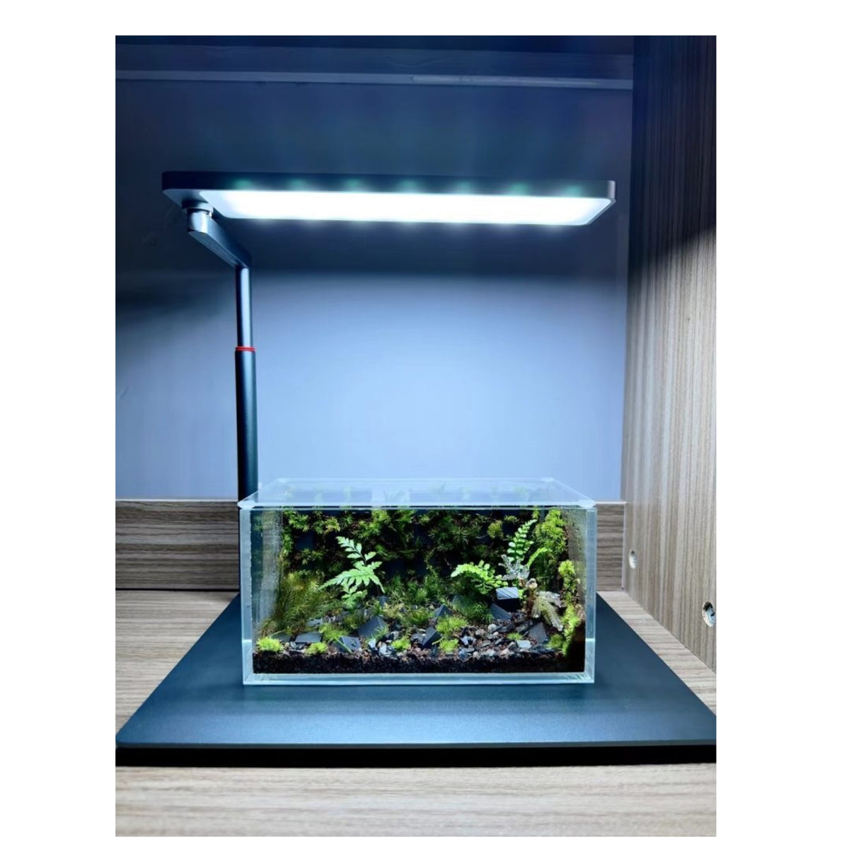 LEDStar AQ Nano Smart Light