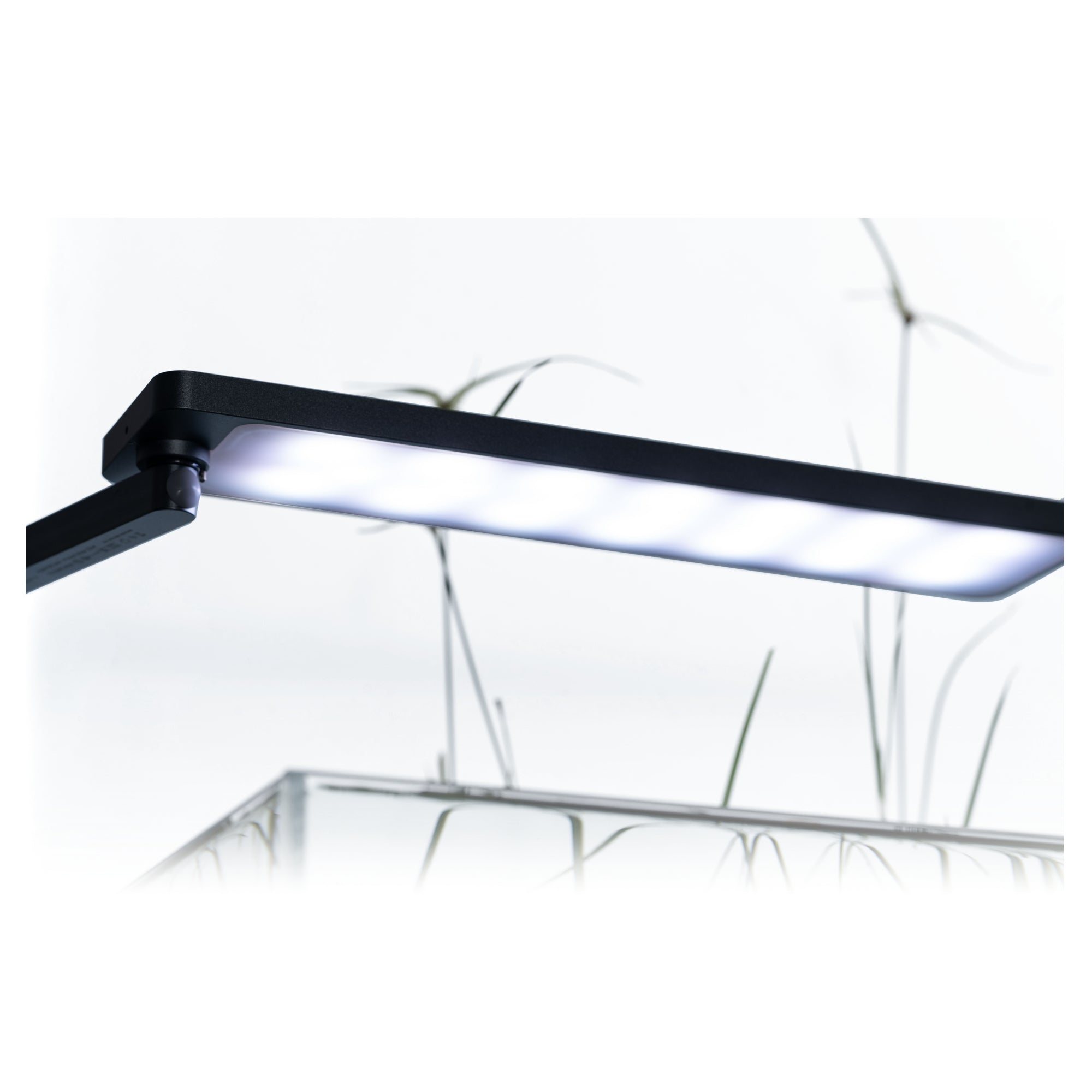 Aquarium Lighting