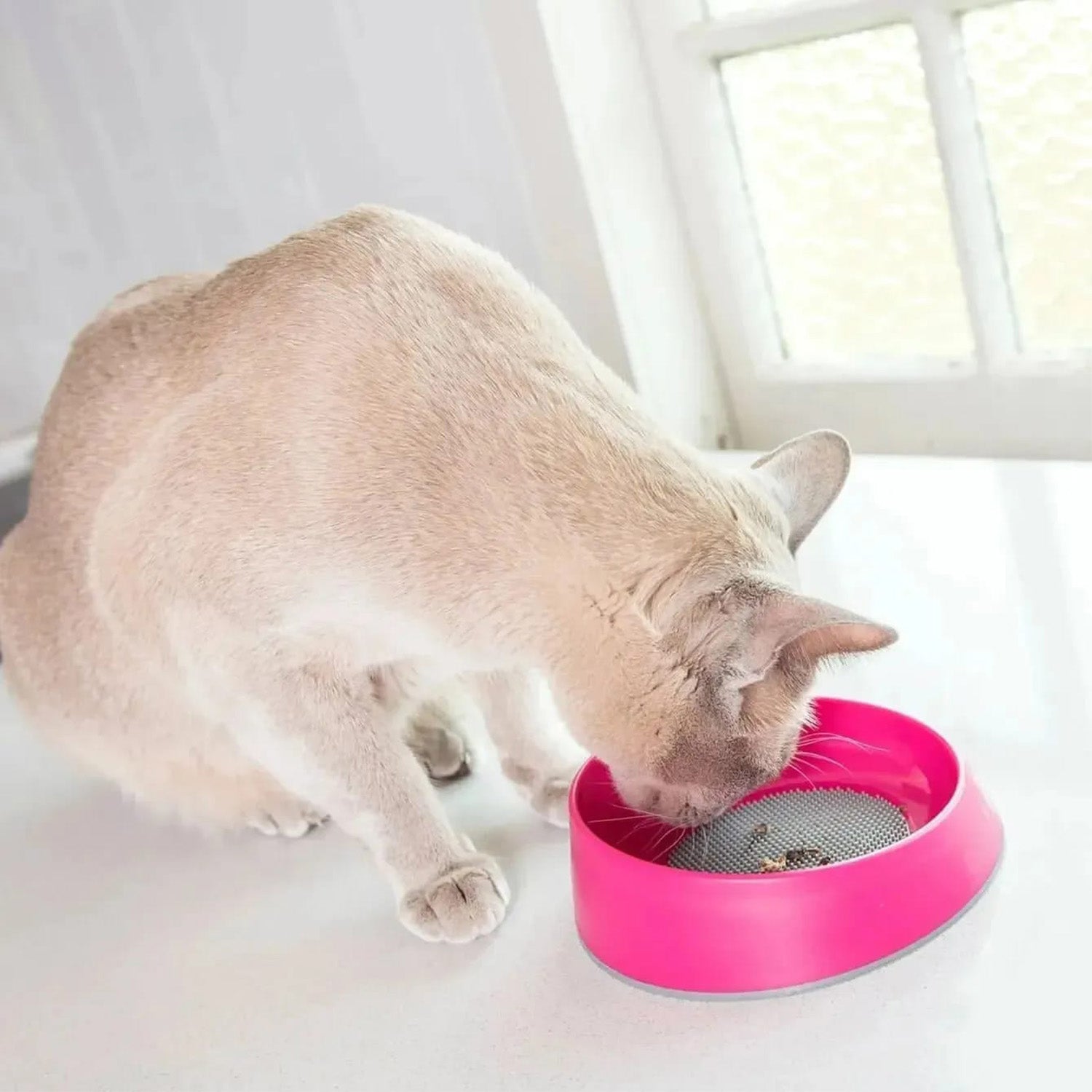 LickiMat OH Bowl for Cats