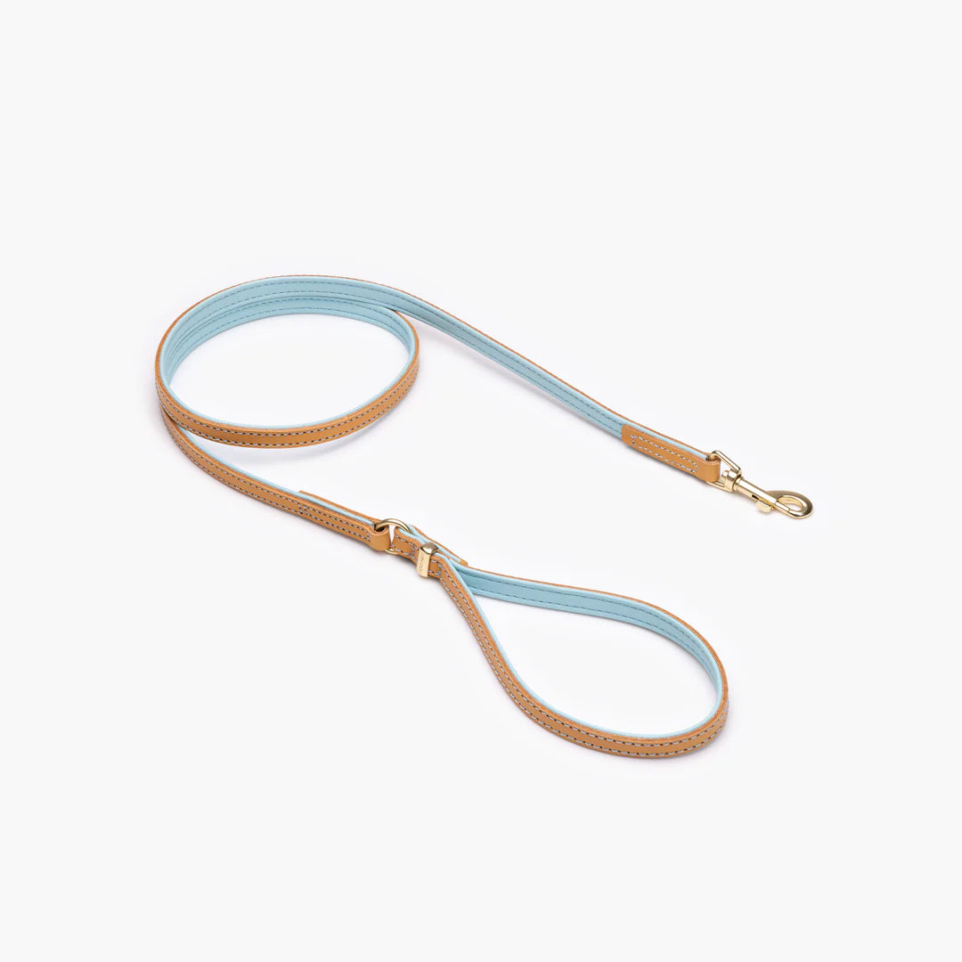 EzyDog Oxford Leather Two Tone LITE Dog leash