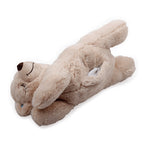 All For Paws Little Buddy Comfort Warm Bear