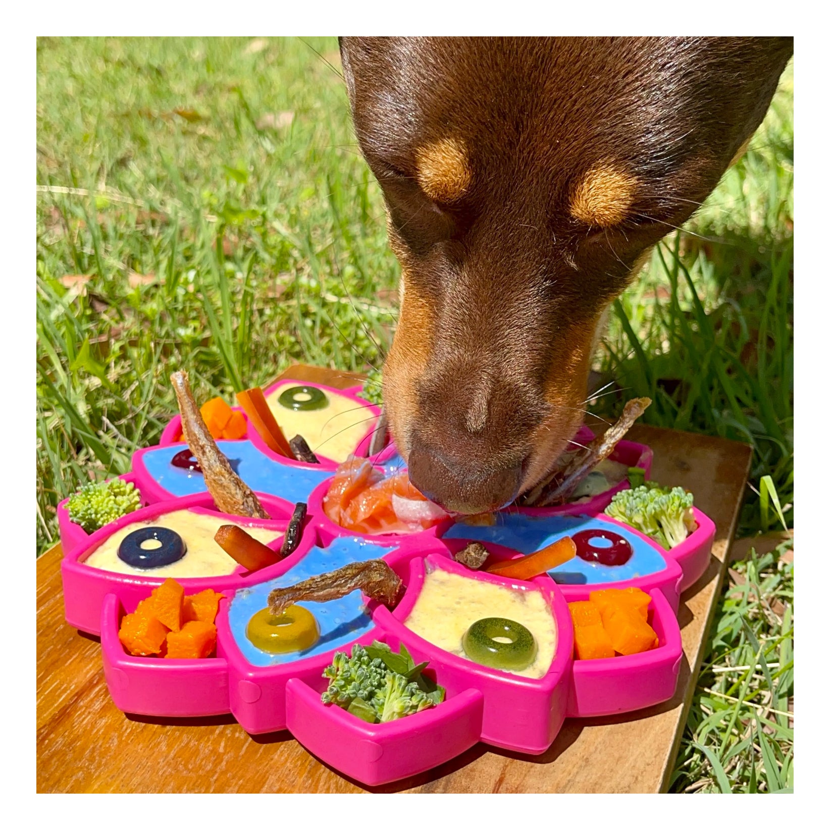 Mandala eTray Slow Feeder