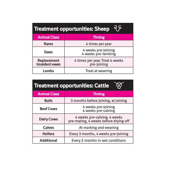 Marks-Min Copper Free Injectable Trace Mineral with Vitamin B12 for Sheep & Cattle 1L