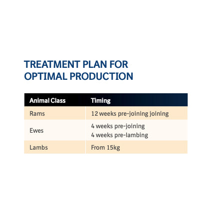Marks-Min Low Copper Injectable Trace Mineral with Vitamin B12 for Sheep 1L