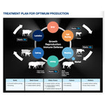 Marks-Min Injectable Trace Mineral with Vitamin B12 for Cattle