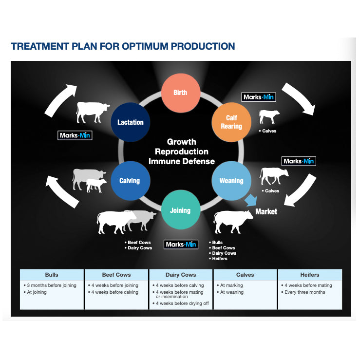 Marks-Min Injectable Trace Mineral with Vitamin B12 for Cattle
