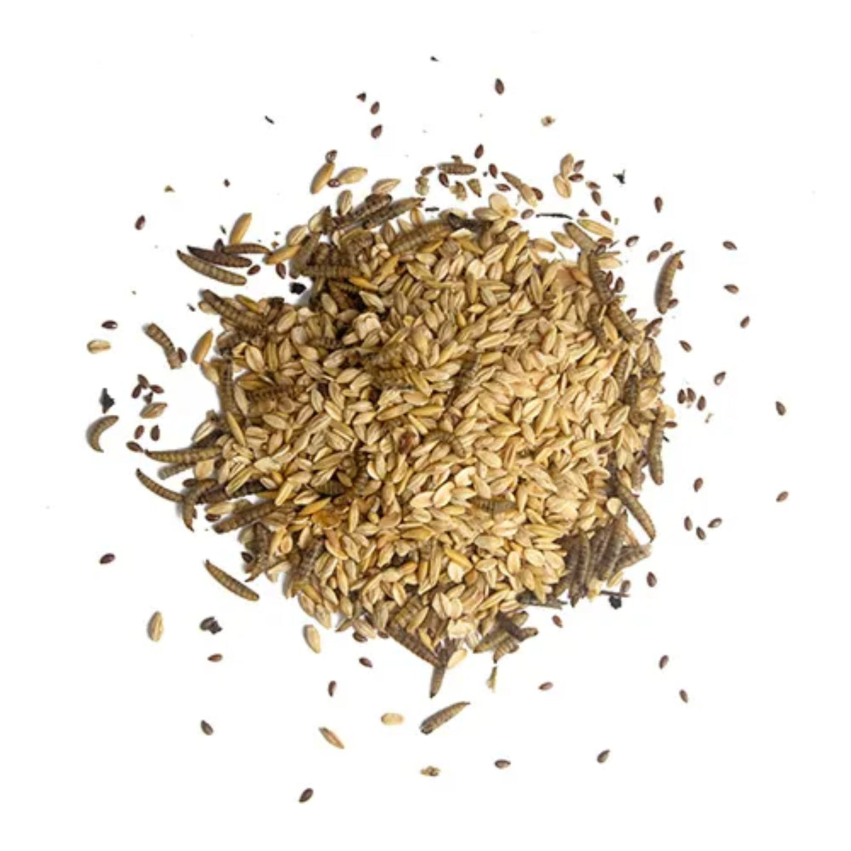Morning Mix - Black Soldier Fly Larvae, Cranberries & Flax Seeds 680g
