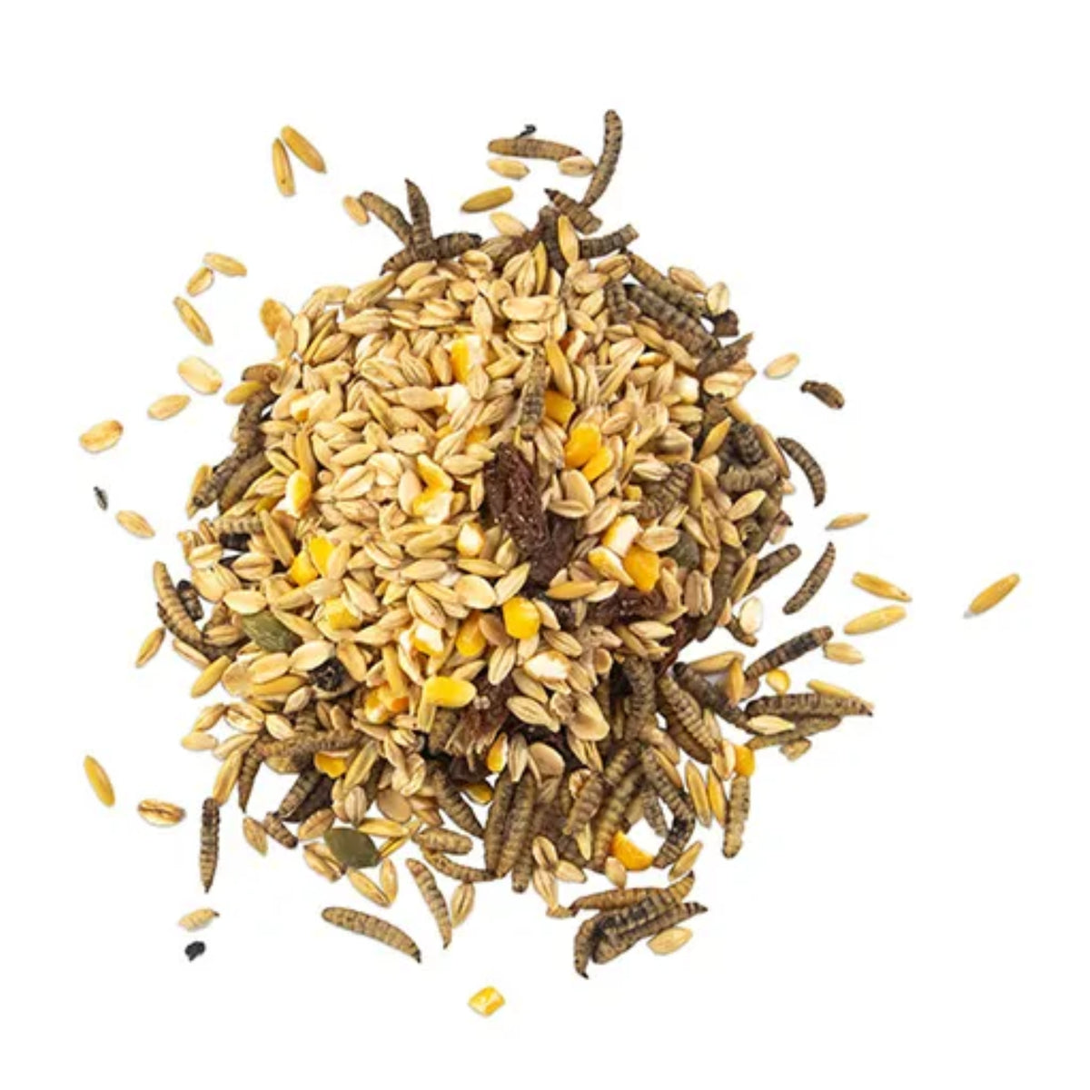 Morning Mix - Black Soldier Fly Larvae, Raisin & Pumpkin Seeds 680g