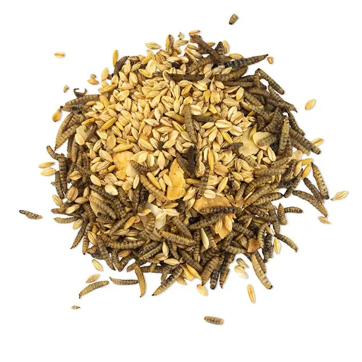 Morning Mix - Black Soldier Fly Larvae, Banana & Almonds