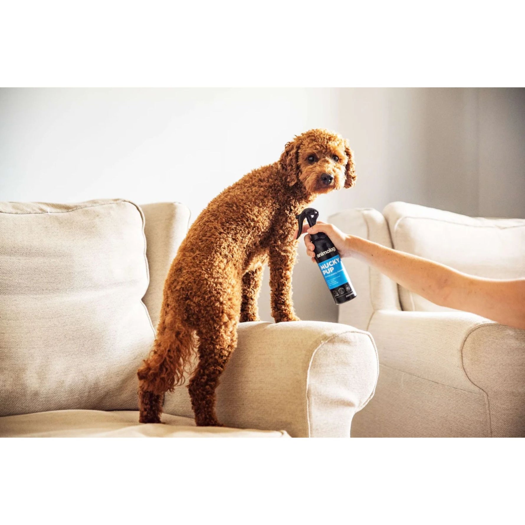 Animology Mucky Pup No Rinse Puppy Shampoo Spray 250mL
