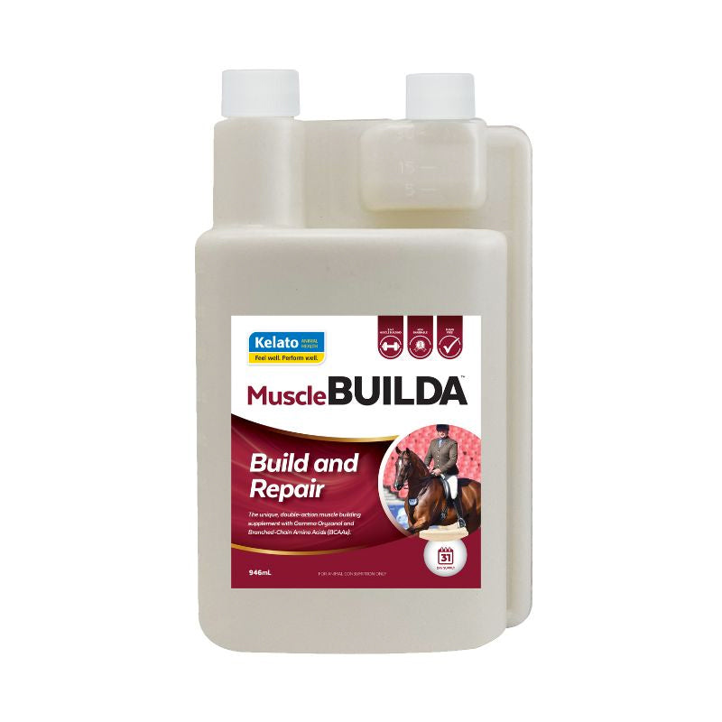 Horse Performance & Recovery Supplements