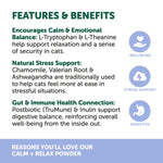 Natural Animal Solutions Calm & Relax Feline 80g
