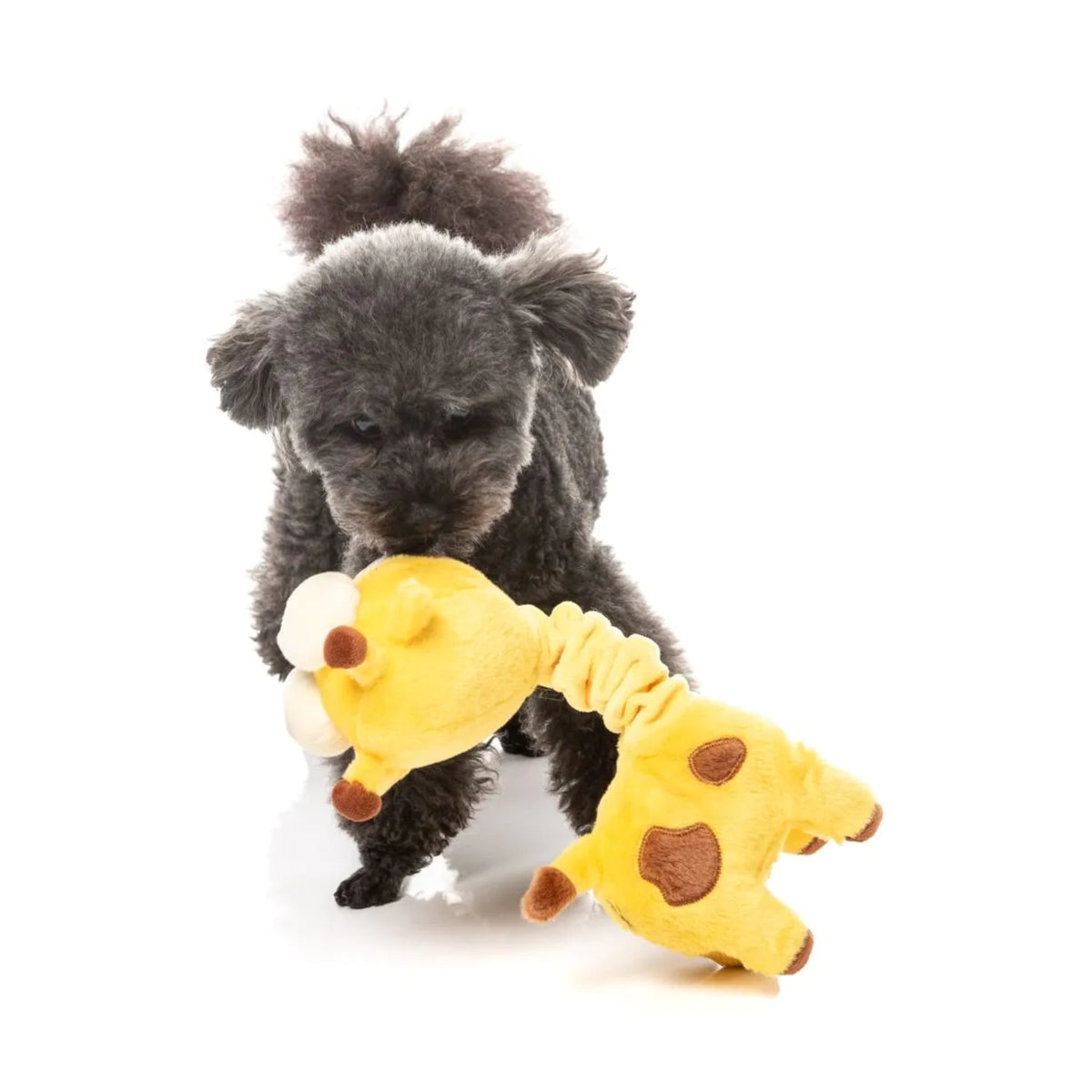 FuzzYard Neck Minnits - Neckolas the Giraffe