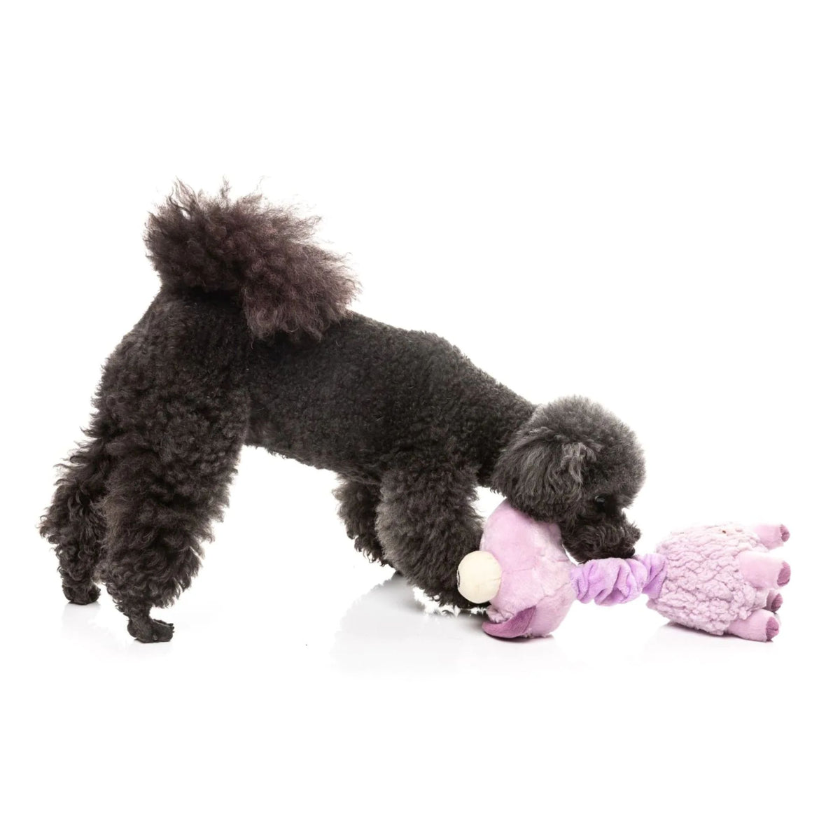 FuzzYard Neck Minnits - Neckita the Llama