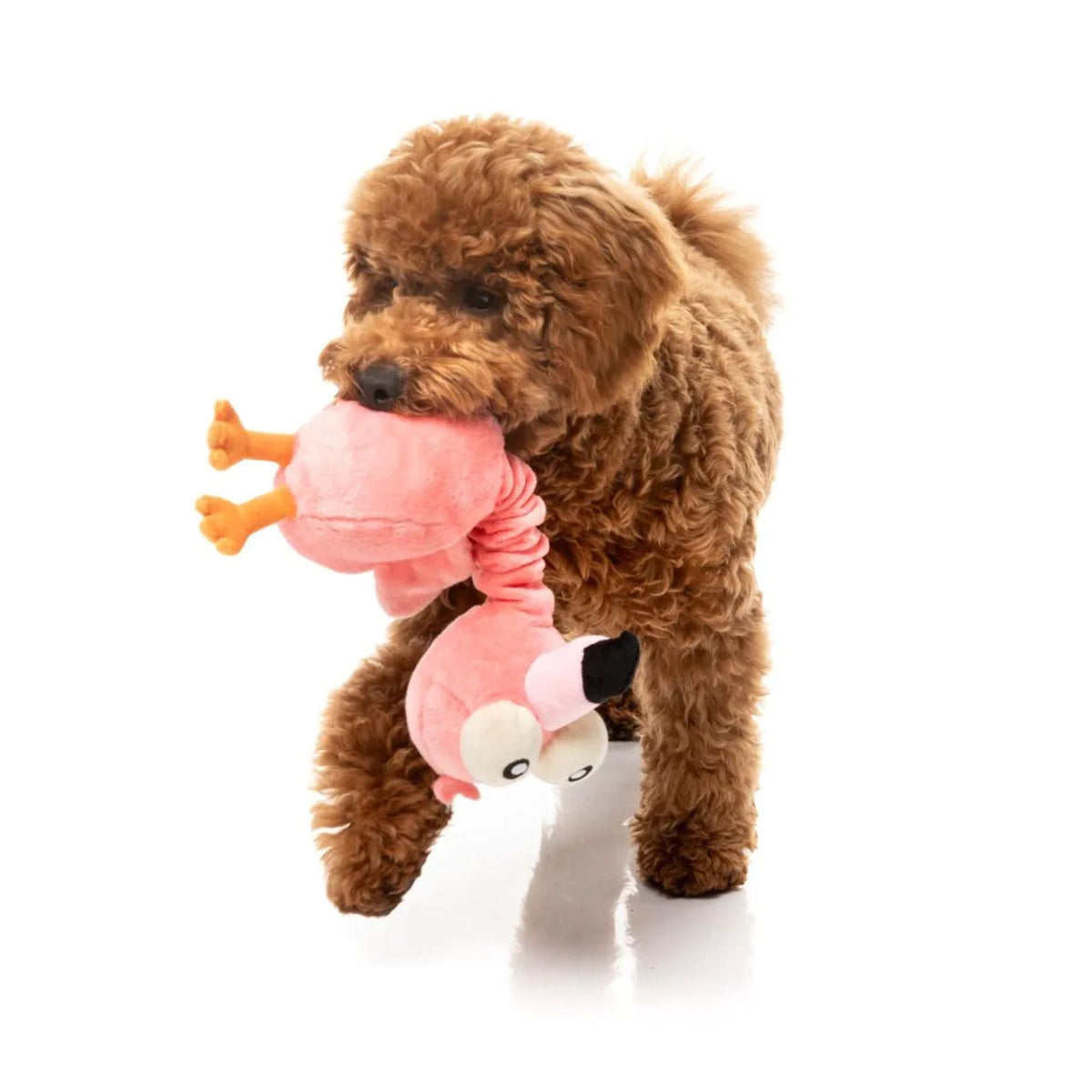 FuzzYard Neck Minnits- Neckole the Flamingo