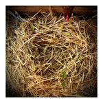 Dine-A-Chook Nesting Herbs for Hens 155g