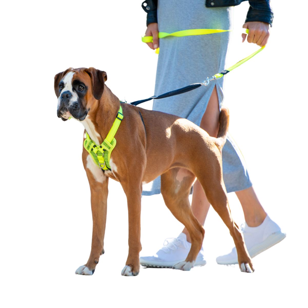 Dog Harnesses - No Pull