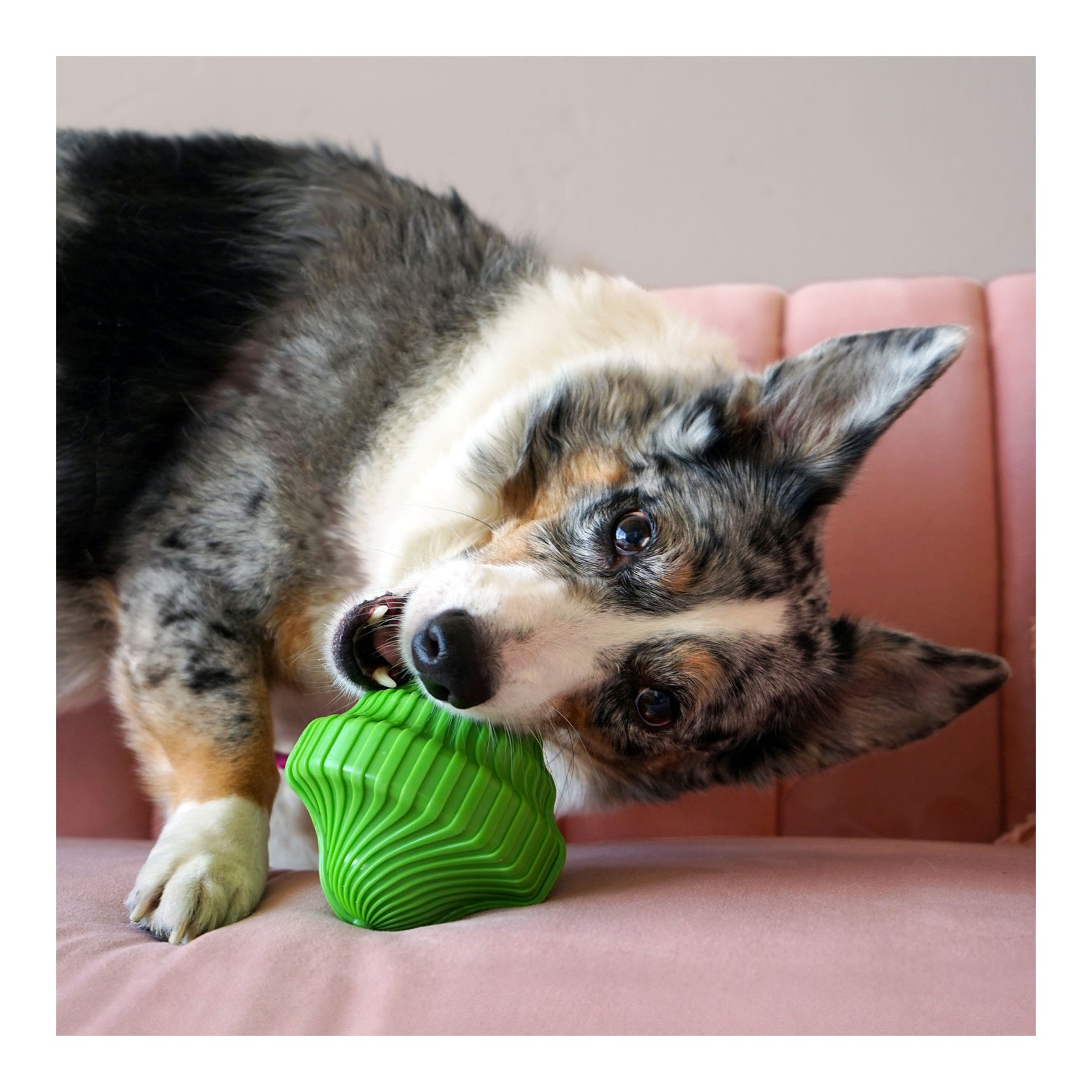 KONG Squeezz Orbitz Spin Top