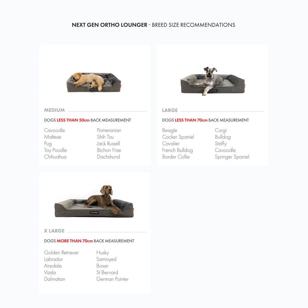 EzyDog Next Gen Ortho Lounger Dog Bed