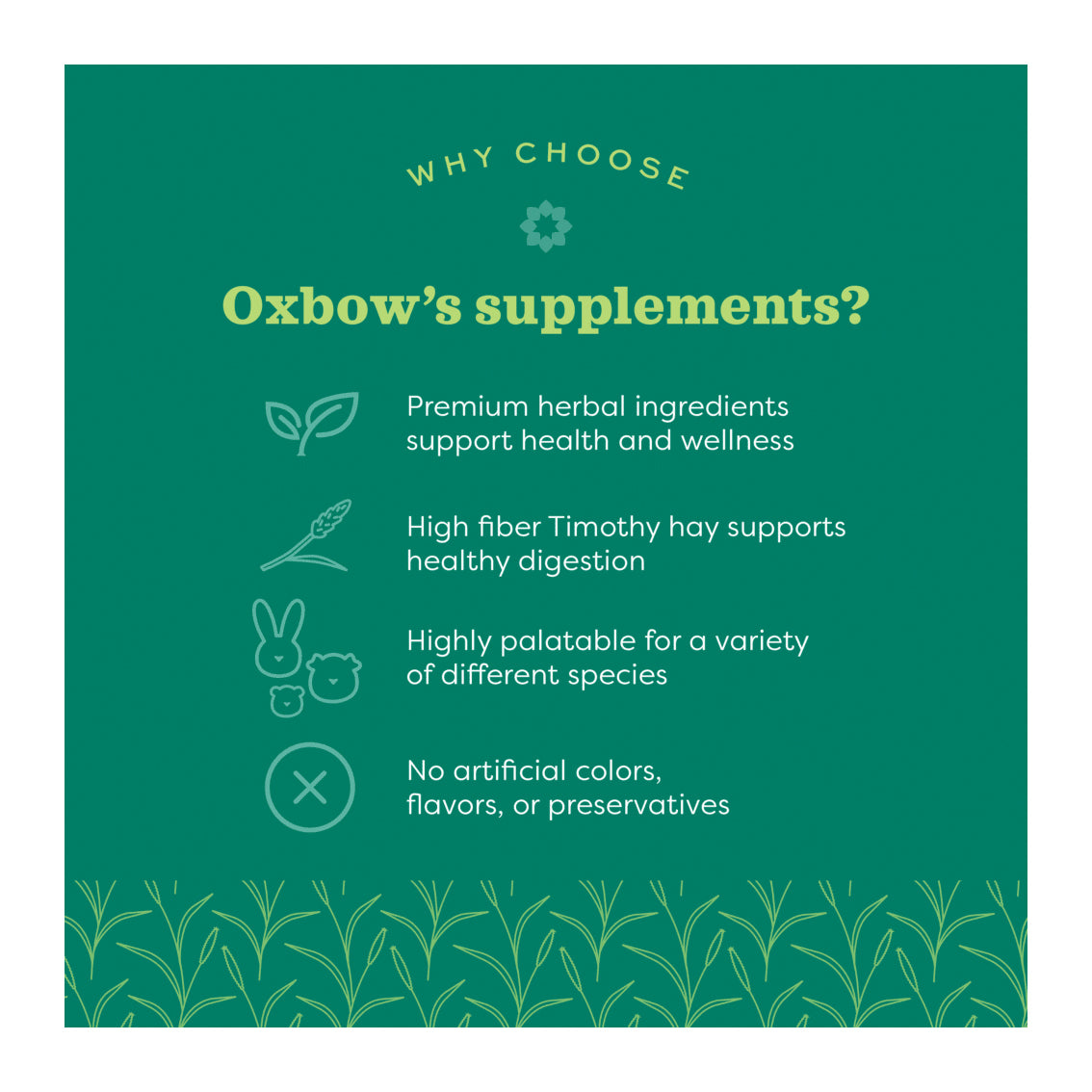 Oxbow Natural Science Joint Support 120g
