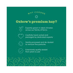 Oxbow Orchard Grass Hay