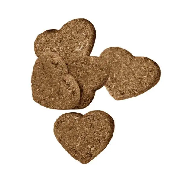 Oxbow Simple Rewards Baked Treats with Cranberry 85g