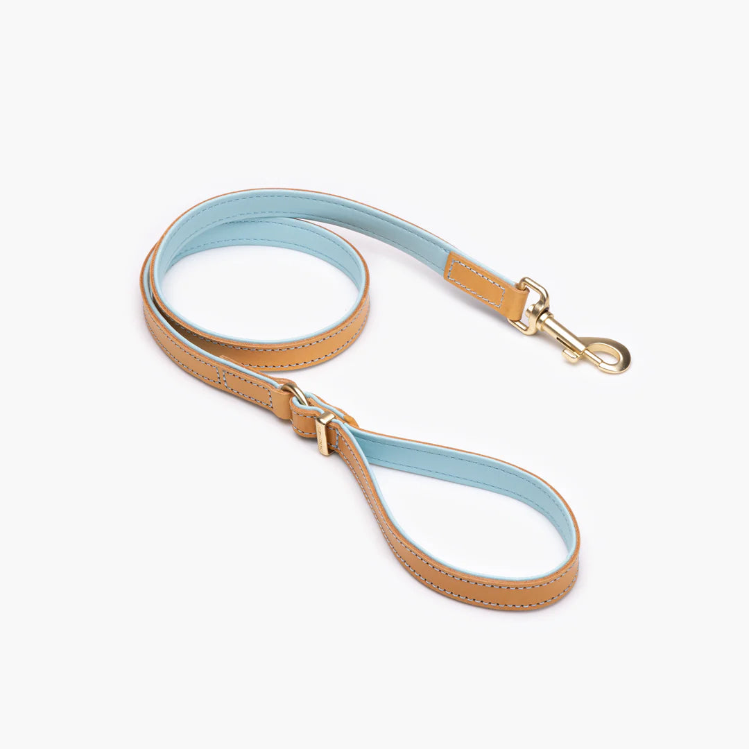 EzyDog Oxford Leather Classic Two Tone Dog Leash