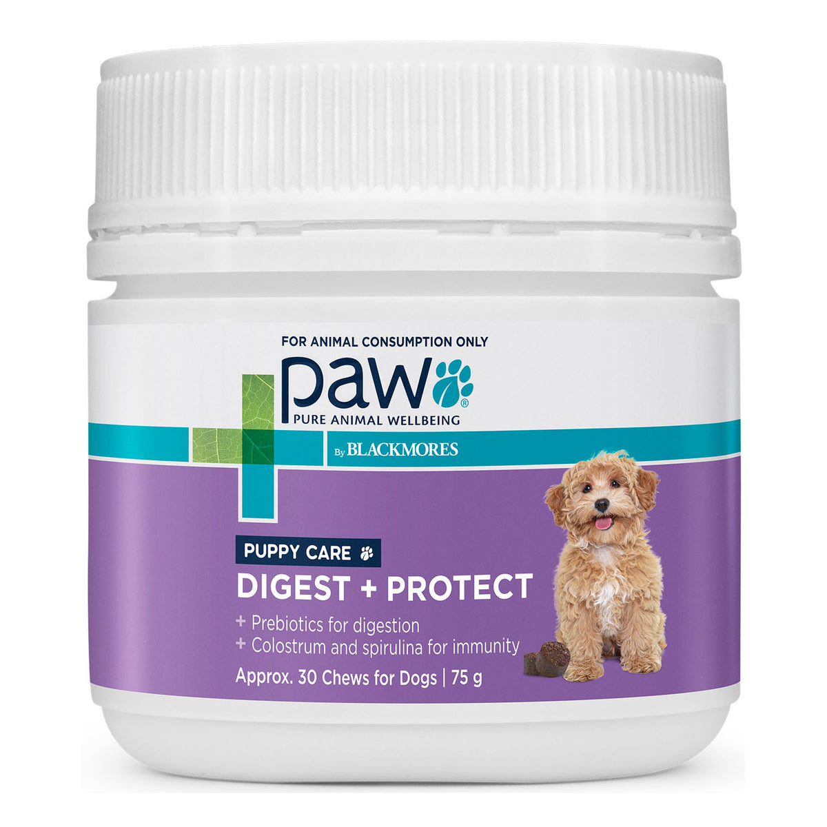 PAW by Blackmores Digest + Protect  Puppy Care 75g