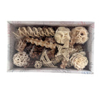 BeakJoy Peck and Play Forage Box