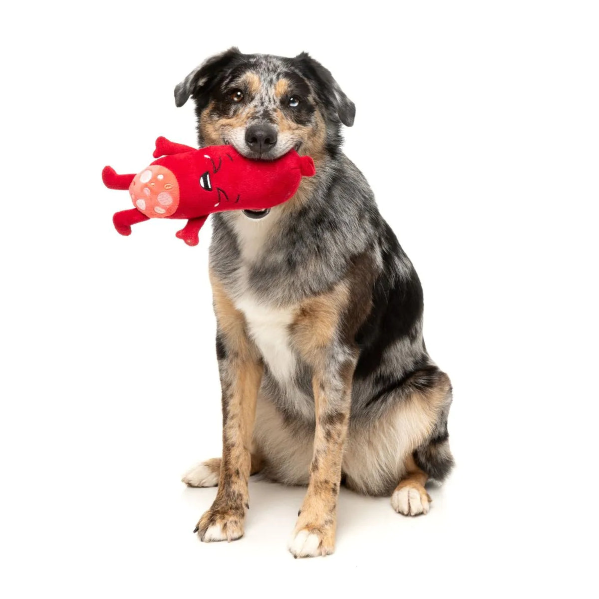 FuzzYard Meat Heads - Pepper Toni