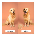 Pet Teezer De-Shedding & Dog Grooming Brush for Heavy Shedding & Long Haired Dogs
