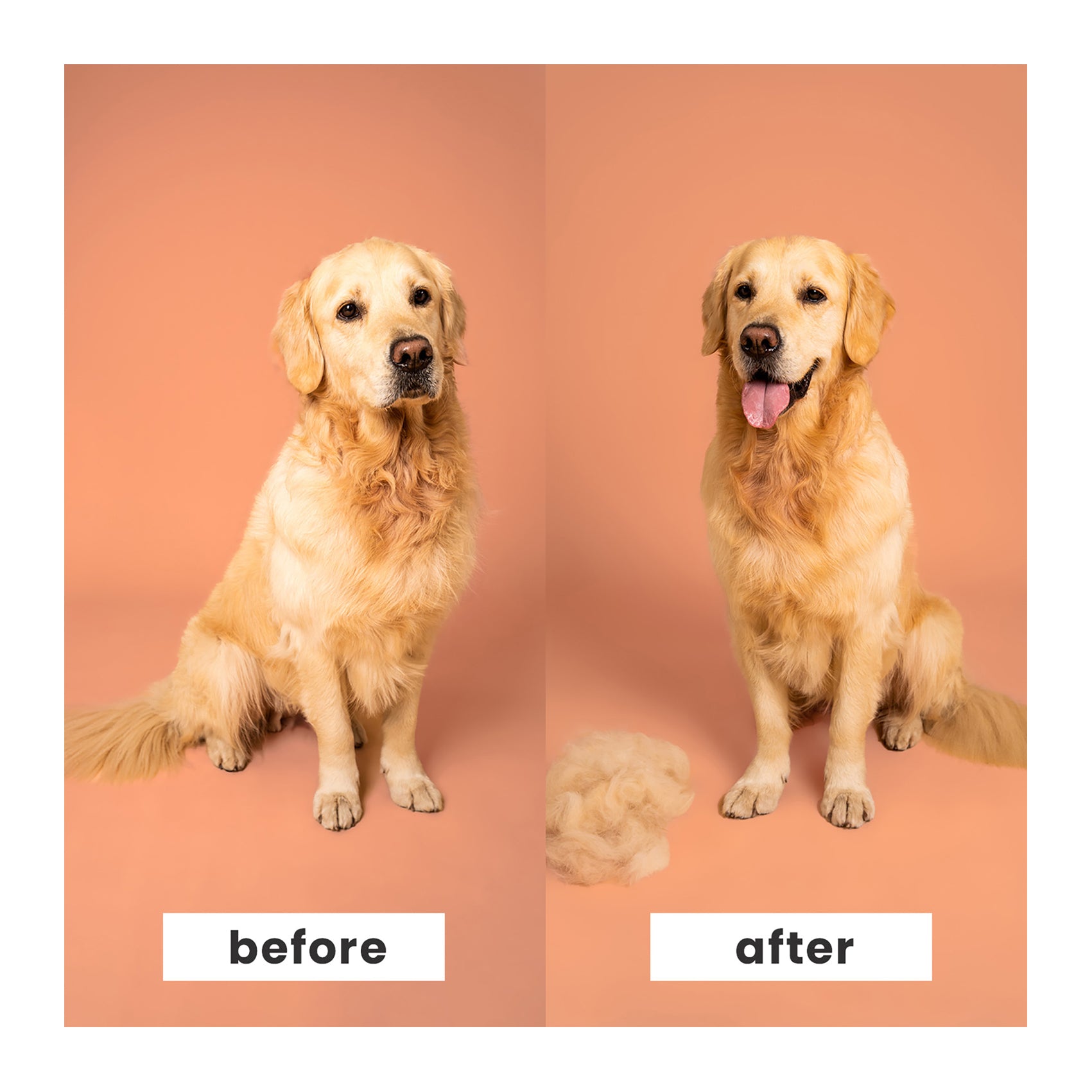 Pet Teezer De-Shedding & Dog Grooming Brush for Heavy Shedding & Long Haired Dogs