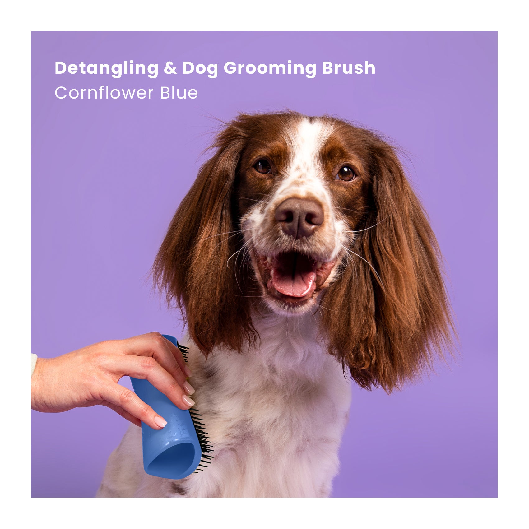 Pet Teezer De-Shedding & Dog Grooming Brush for Heavy Shedding & Long Haired Dogs