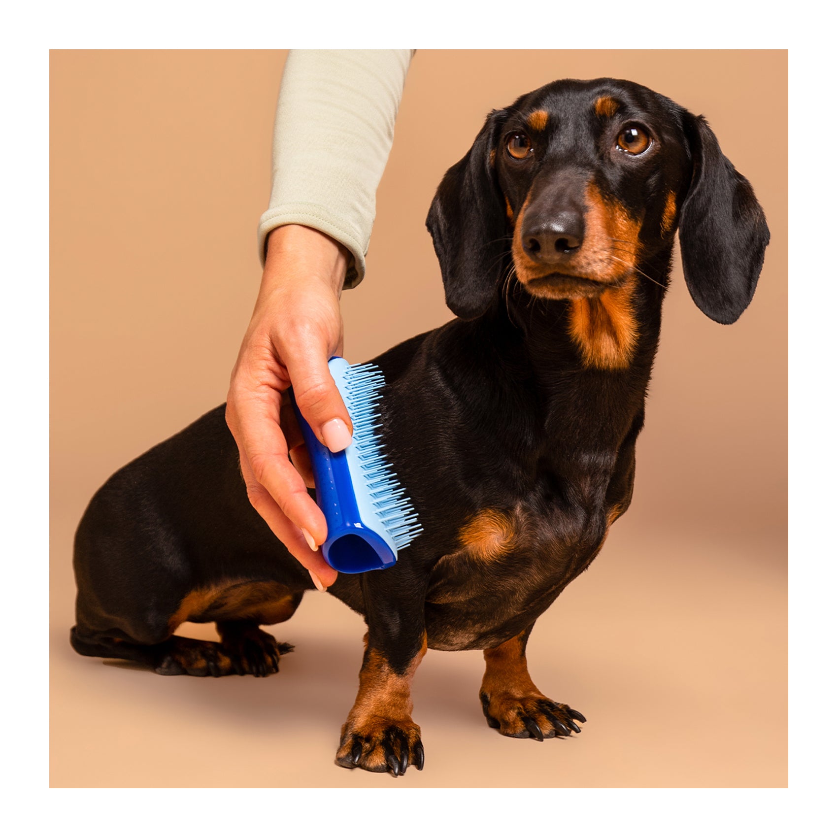 Pet Teezer De-Shedding & Dog Grooming Brush for Heavy Shedding & Long Haired Dogs