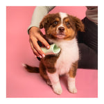Pet Teezer Puppy Brush