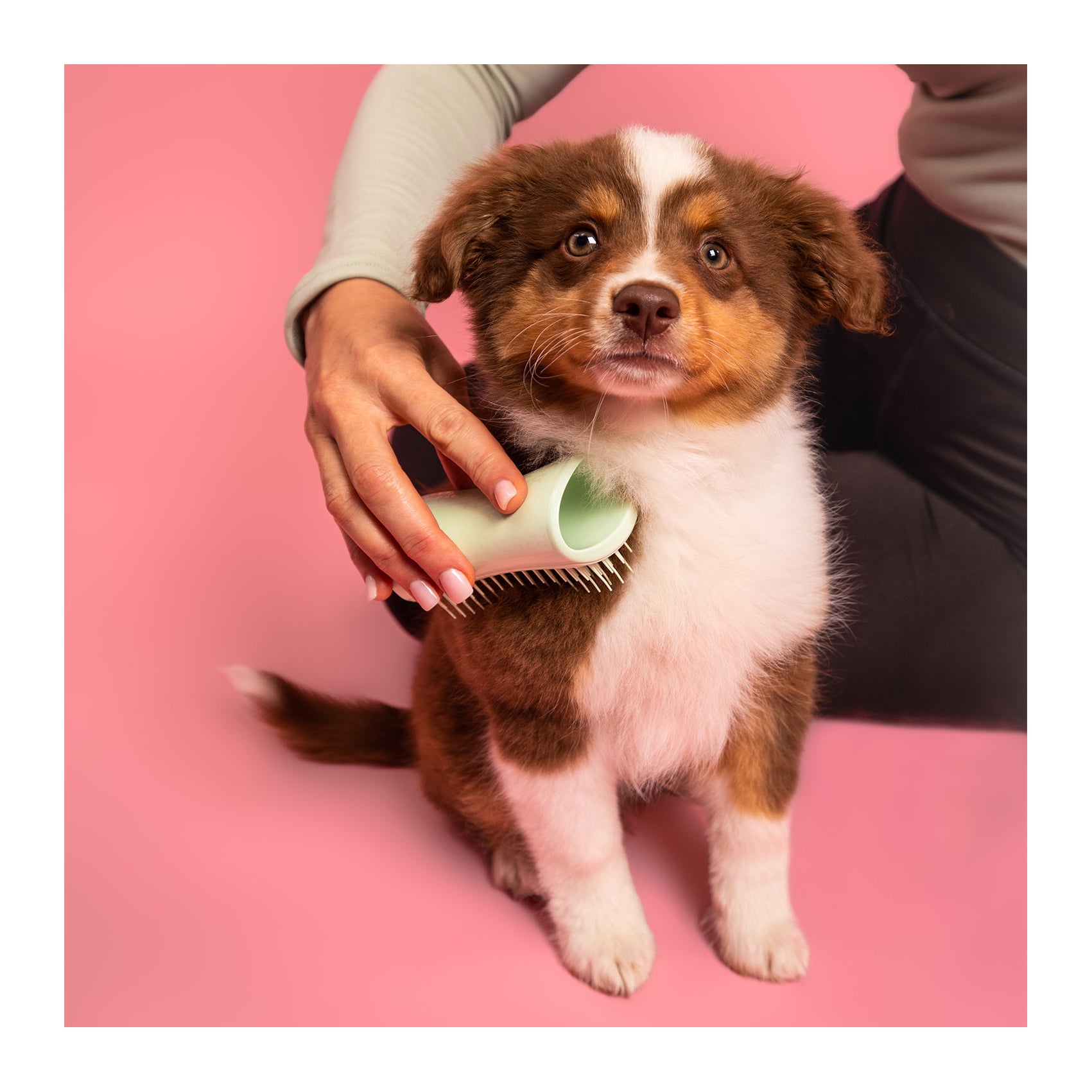 Pet Teezer Puppy Brush