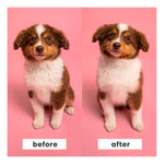 Pet Teezer Puppy Brush