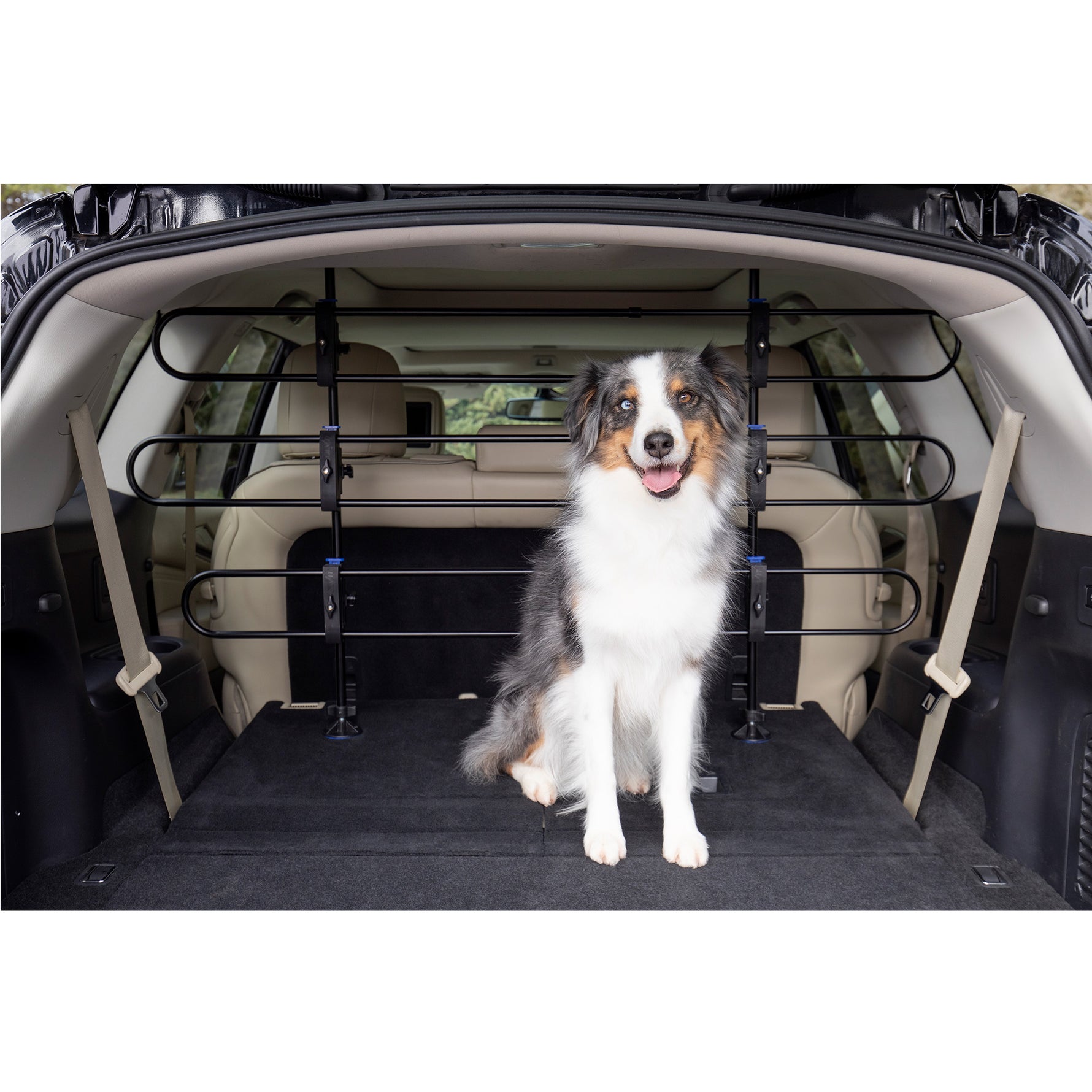 PetSafe Happy Ride Metal Dog Car Barrier