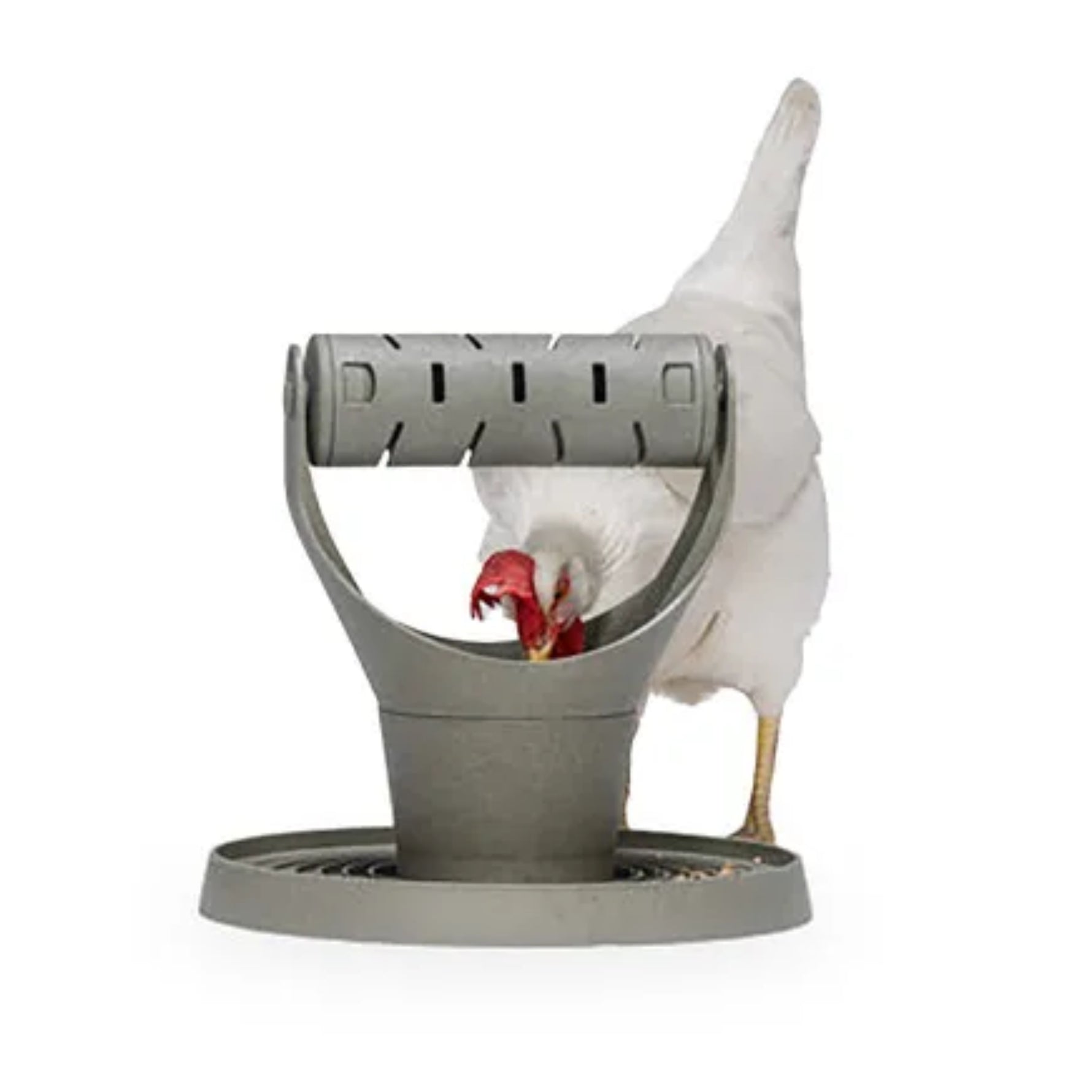 Bainbridge Chicken Playground – 100% Recycled Play & Feed Tower