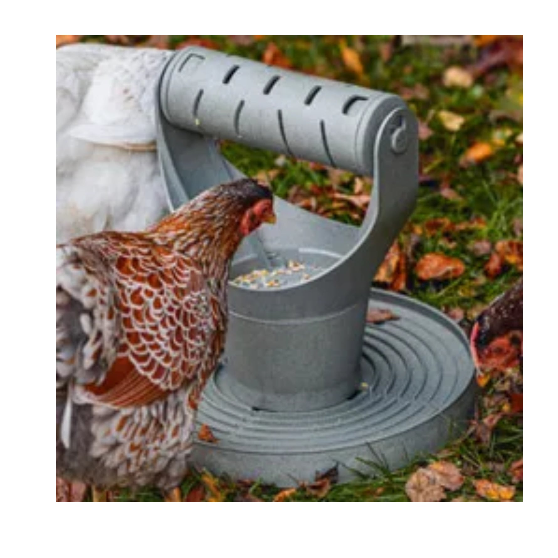 Bainbridge Chicken Playground – 100% Recycled Play & Feed Tower