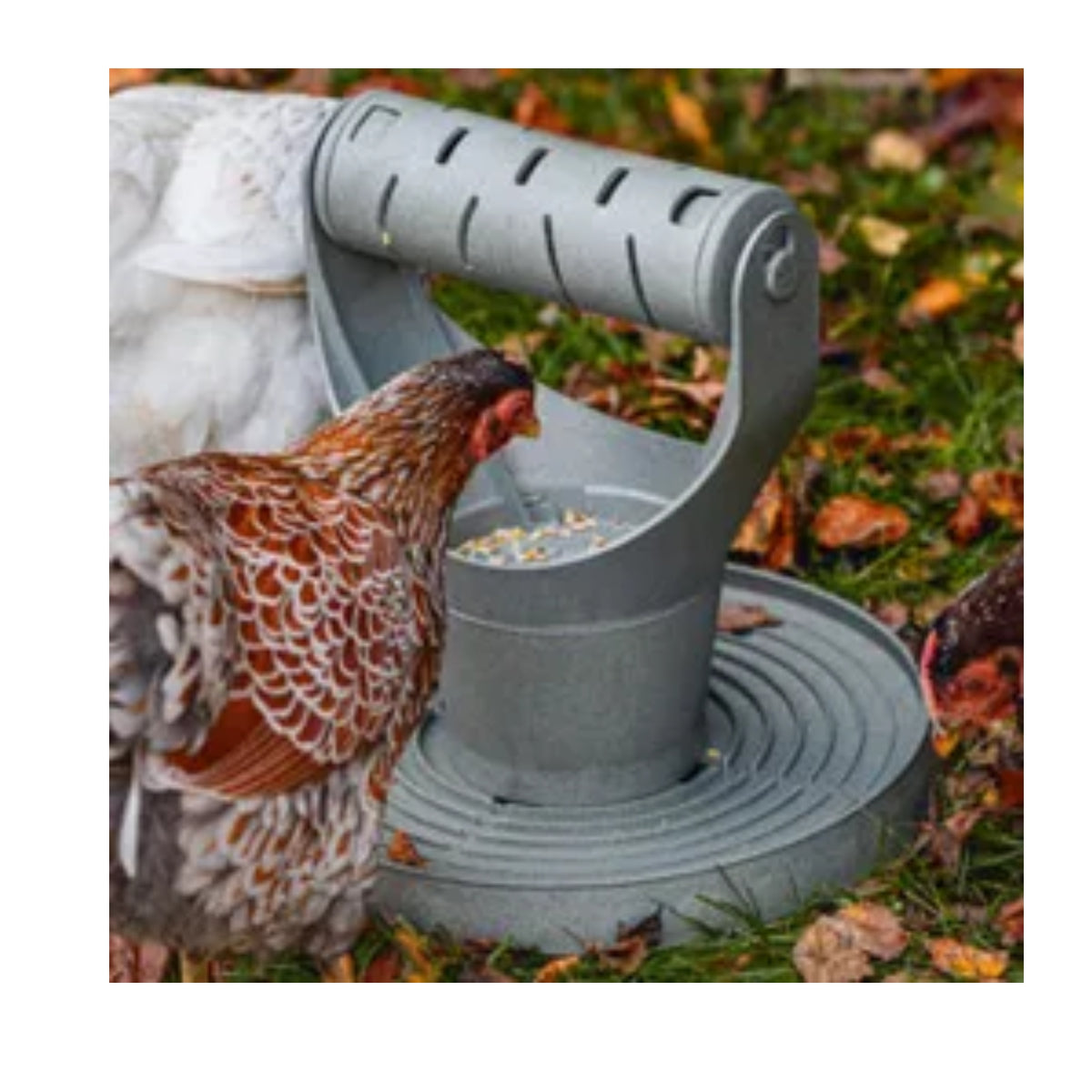 Bainbridge Chicken Playground – 100% Recycled Play & Feed Tower