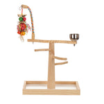 BeakJoy Birdie Play and Snack Gym