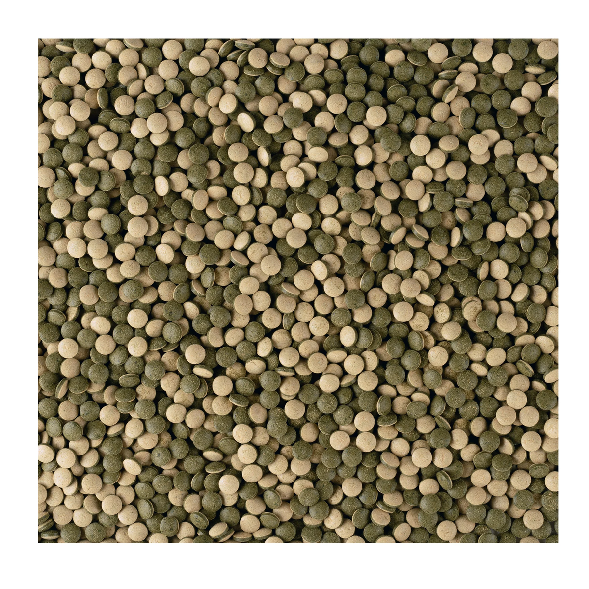 Tetra NE Pleco Tablets 36g