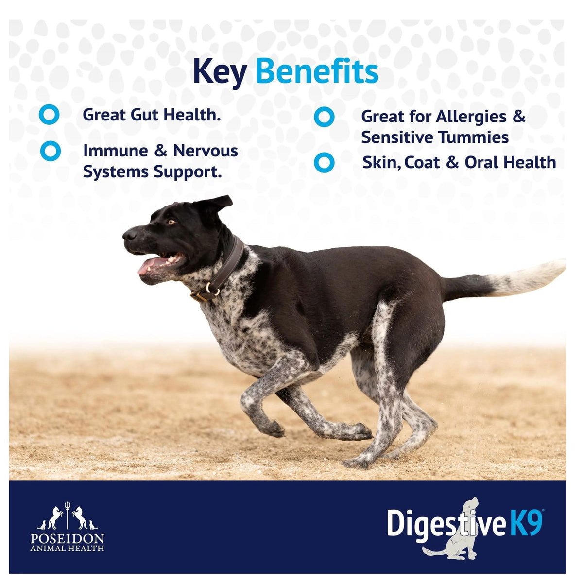 Poseidon Digestive K9 Powder