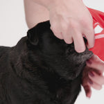 EzyDog Rashie Vest for Dogs