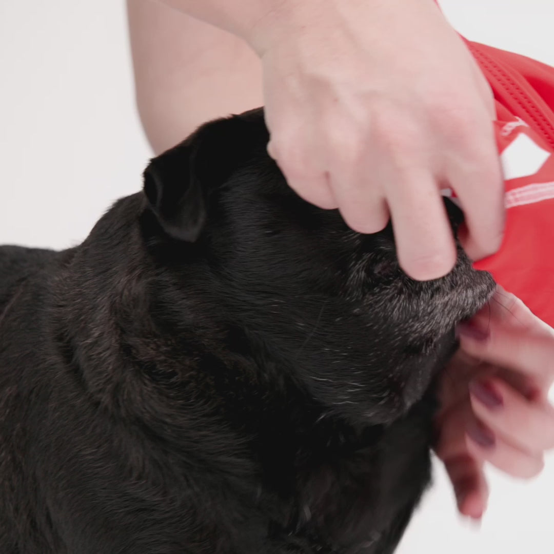 EzyDog Rashie Vest for Dogs
