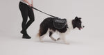 EzyDog Convert Dog Saddle Bags